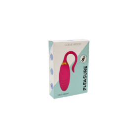 PLEASURE, Un Œuf vibrant USB avec télécommande, dans un silicone médical doux et rainuré 